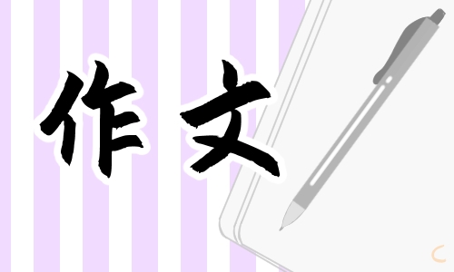 关于春节的作文500字