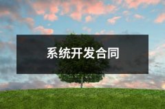 系统开发合同（共6篇）