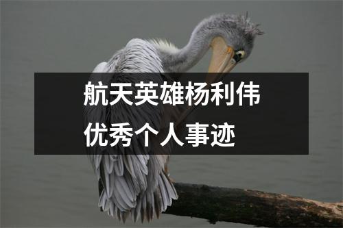 航天英雄杨利伟优秀个人事迹