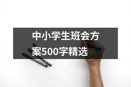 中小学生班会方案500字精选