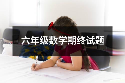 六年级数学期终试题