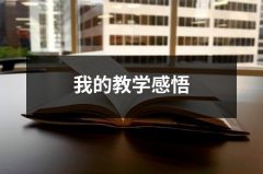 我的教学感悟（共17篇）