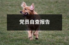 党员自查报告（共16篇）