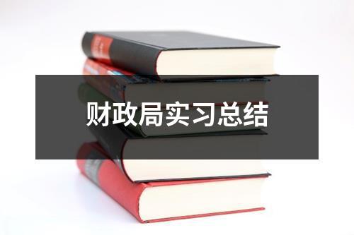 财政局实习总结