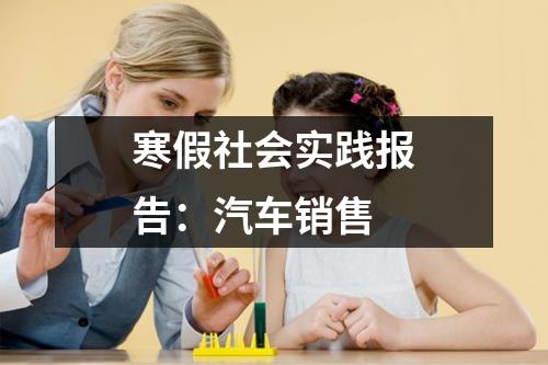 寒假社会实践报告：汽车销售