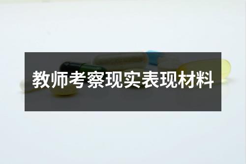 教师考察现实表现材料