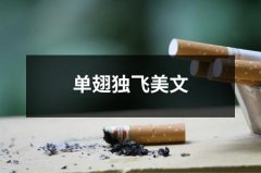 单翅独飞美文（共7篇）