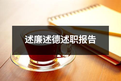 述廉述德述职报告