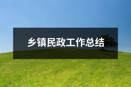 乡镇民政工作总结