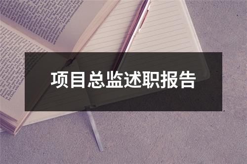 项目总监述职报告