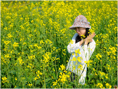 白芙段衍小说宝藏小说分享（白芙段衍）全文免费阅读无弹窗大结局_(白芙段衍