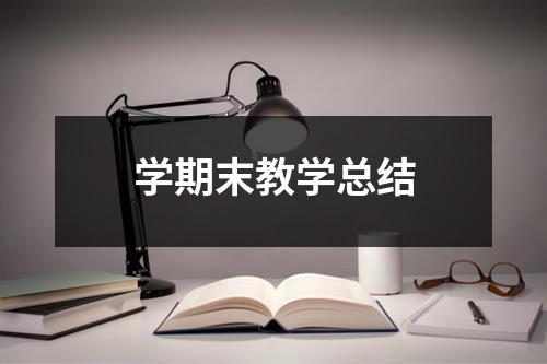 学期末教学总结