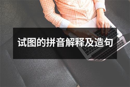 试图的拼音解释及造句