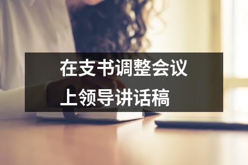 在支书调整会议上领导讲话稿