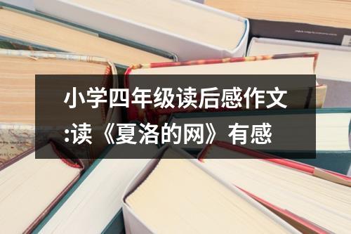 小学四年级读后感作文:读《夏洛的网》有感