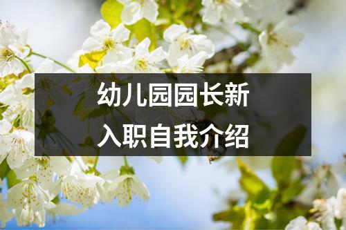 幼儿园园长新入职自我介绍