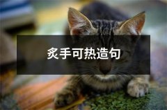 炙手可热造句（共4篇）