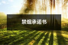 禁烟承诺书（锦集16篇）