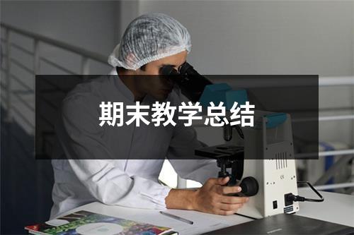 期末教学总结