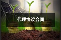 代理协议合同（共14篇）