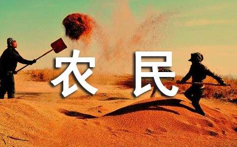 农民秋收简报（通用22篇）