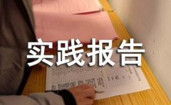 有关社会实践报告（精选10篇）