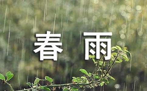 描写春雨的句子合集15篇