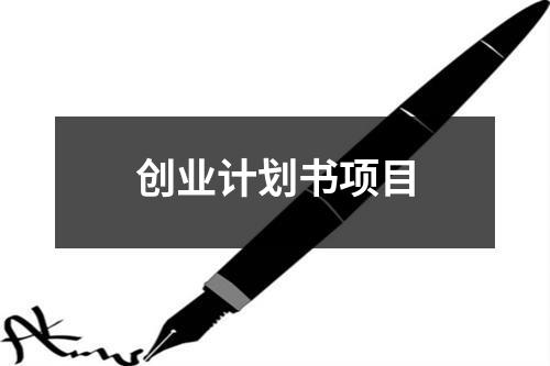 创业计划书项目