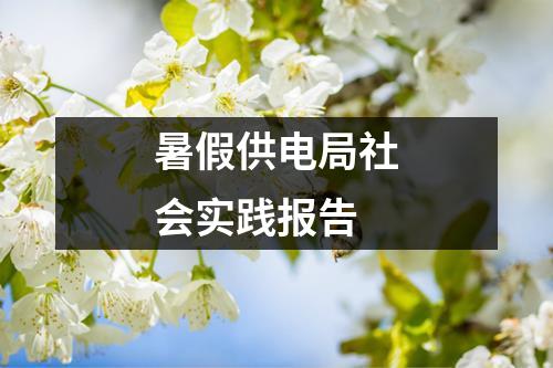 暑假供电局社会实践报告