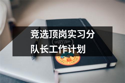 竞选顶岗实习分队长工作计划