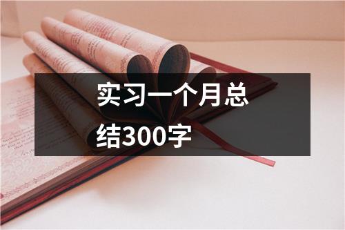 实习一个月总结300字