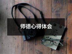 师德心得体会（推荐15篇）