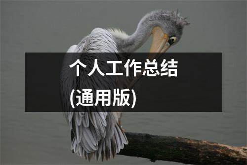 个人工作总结(通用版)