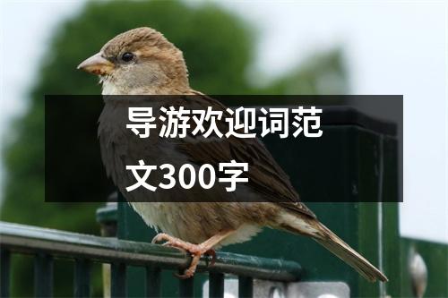 导游欢迎词范文300字