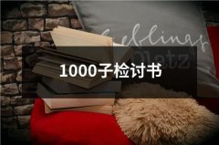 1000子检讨书（共15篇）