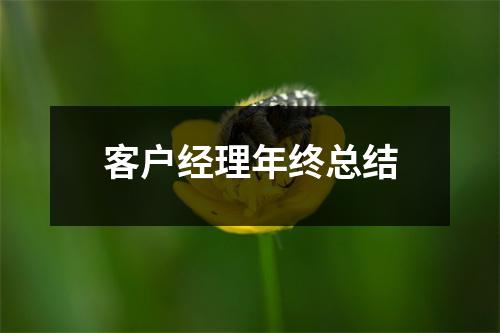 客户经理年终总结