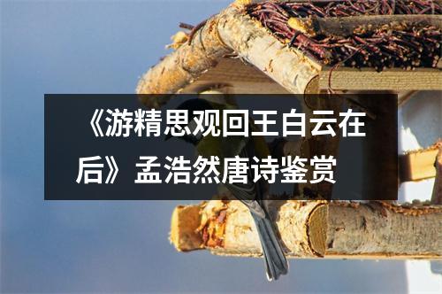 《游精思观回王白云在后》孟浩然唐诗鉴赏