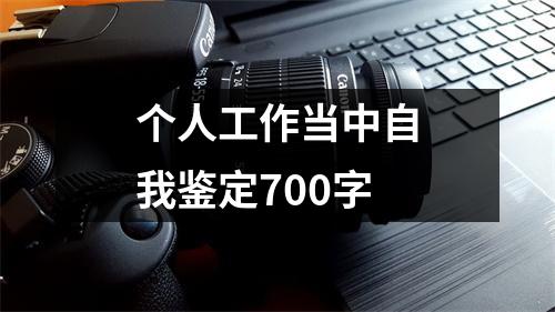 个人工作当中自我鉴定700字