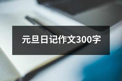 元旦日记作文300字