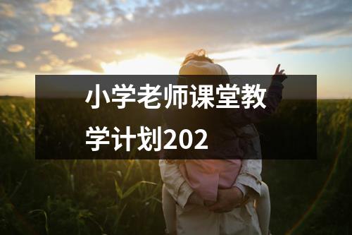 小学老师课堂教学计划202