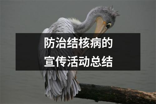 防治结核病的宣传活动总结