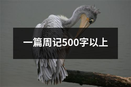 一篇周记500字以上