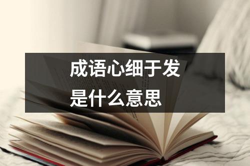 成语心细于发是什么意思