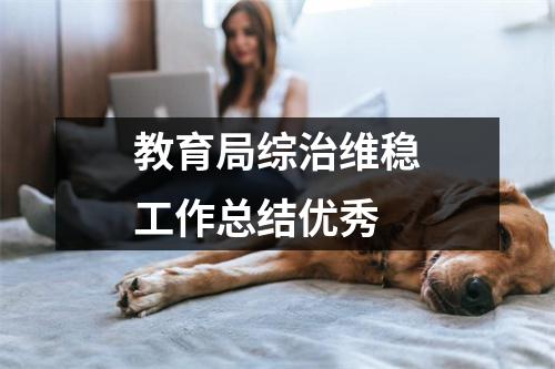 教育局综治维稳工作总结优秀