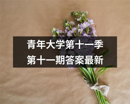 青年大学第十一季第十一期答案最新