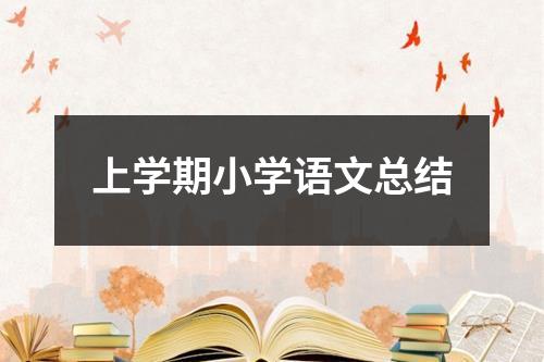 上学期小学语文总结