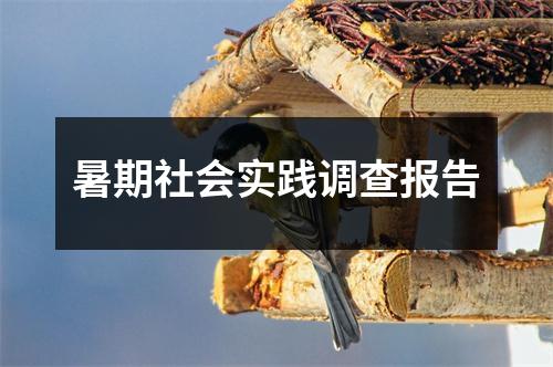 暑期社会实践调查报告