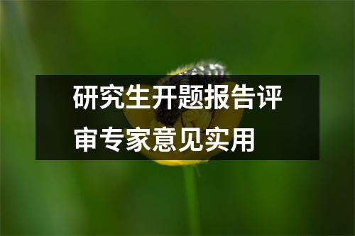 研究生开题报告评审专家意见实用