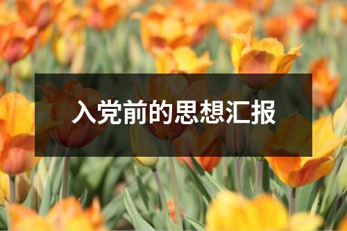 入党前的思想汇报