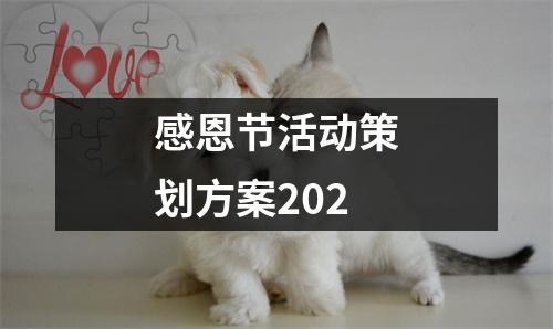 感恩节活动策划方案202